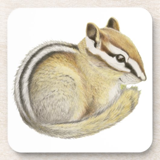 Baby Chipmunk Getränkeuntersetzer (Vorderseite)
