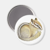 Baby Chipmunk Magnet (Vorderseite/Rückseite)