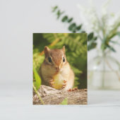 Baby Chipmunk mit Snack Postkarte (Stehend Vorderseite)