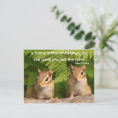 Baby Chipmunk - Preisliste Postkarte (Stehend Vorderseite)