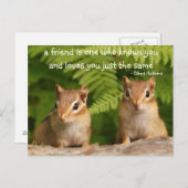 Baby Chipmunk - Preisliste Postkarte (Vorne/Hinten)