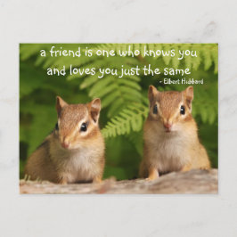 Baby Chipmunk - Preisliste Postkarte