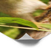 Baby Chipmunk Quote Poster (Ecke)