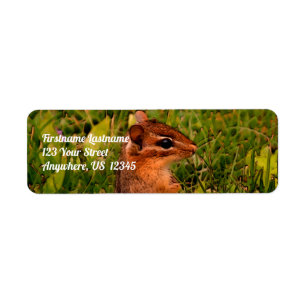 Baby Chipmunk Wildlife Animal Art Address