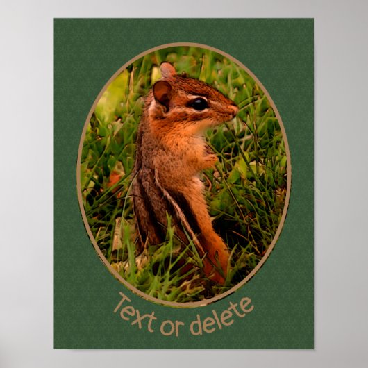 Baby Chipmunk Wildlife Animal Art Personalisiert Poster (Vorne)