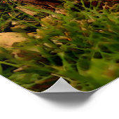 Baby Chipmunk Wildlife Animal Art Poster (Ecke)