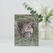 Baby Chipmunk zusammen Postkarte (Stehend Vorderseite)