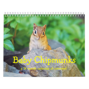 Baby Chipmunks 2013/2014 (16 Monate Kalender) Kalender