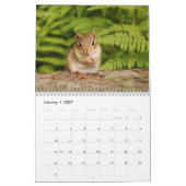 Baby Chipmunks 2013/2014 (16 Monate Kalender) Kalender (Jan 2027)