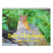 Baby Chipmunks 2014/2015 (16 Monate Kalender) Kalender (Titelbild)