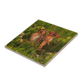 Baby Chipmunks Animal Art Fliese (Seite)