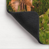 Baby Chipmunks Animal Art Personalisiert Mousepad (Ecke)
