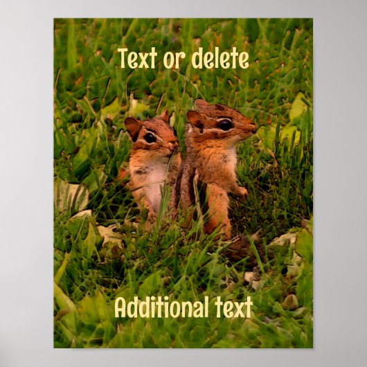 Baby Chipmunks Animal Art Personalisiert Poster (Vorne)