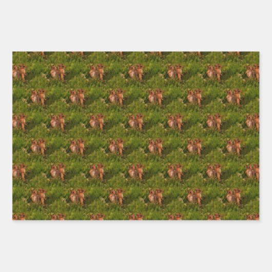 Baby Chipmunks Animal Nature Art Geschenkpapier Set (Vorderseite 3)