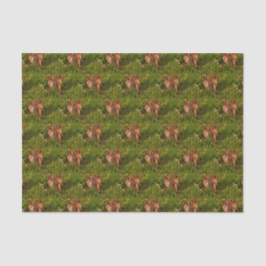 Baby Chipmunks Animal Nature Art Seidenpapier (Vorderseite)