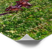 Baby Chipmunks Collage 1 Animal Pencil Art Poster (Ecke)