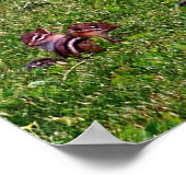 Baby Chipmunks Collage 2 Animal Pencil Art Poster (Ecke)