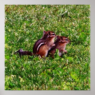 Baby Chipmunks Erster Tag #6 Tier  Poster