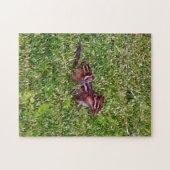 Baby Chipmunks First Day #4 Puzzle (Horizontal)