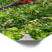 Baby Chipmunks First Day #5 Animal Poster (Ecke)