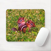 Baby Chipmunks First Day Animal Art Mousepad (Mit Mouse)