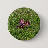 Baby Chipmunks First Day Animal Button (Vorderseite)