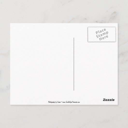 Baby Chipmunks First Day Animal Postcard Postkarte (Rückseite)