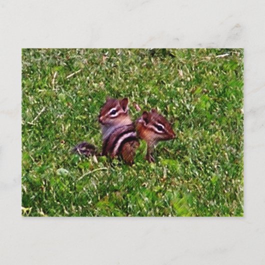 Baby Chipmunks First Day Animal Postcard Postkarte (Vorderseite)