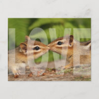 Baby Chipmunks Liebe Design Postkarte