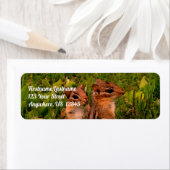 Baby Chipmunks Wildlife Animal Art Address (Insitu)