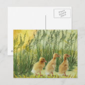 Baby Chips Postkarte (Vorne/Hinten)