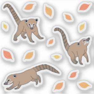 Baby Coatis Aufkleber