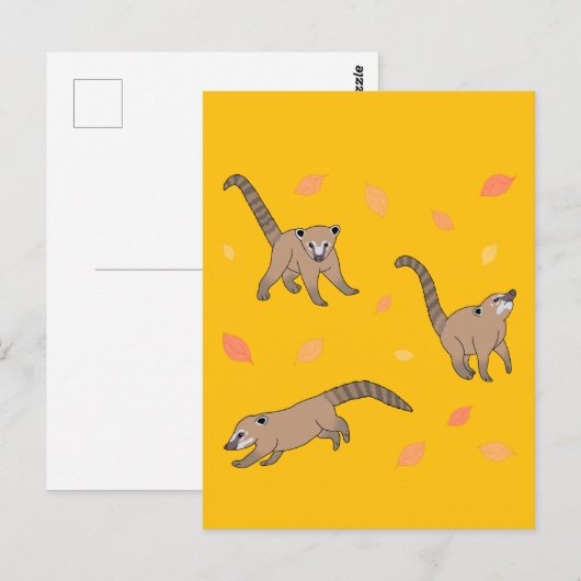 Baby Coatis Postkarte (Vorne/Hinten)