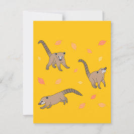 Baby Coatis Postkarte
