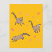 Baby Coatis Postkarte (Vorderseite)