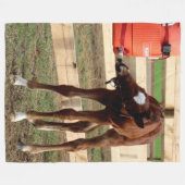 BABY COLT EINEN GETRÄNK FLEECEDECKE (Vorderseite (Horizontal))