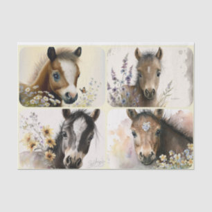 Baby Colts Seidenpapier