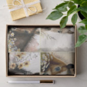 Baby Colts Seidenpapier (Geschenk)