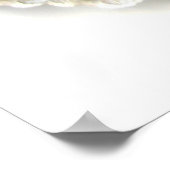 Baby Cones Poster (Ecke)