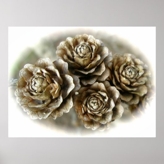Baby Cones Poster (Vorne)