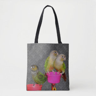 Baby Conure Papageien Tier  Tasche