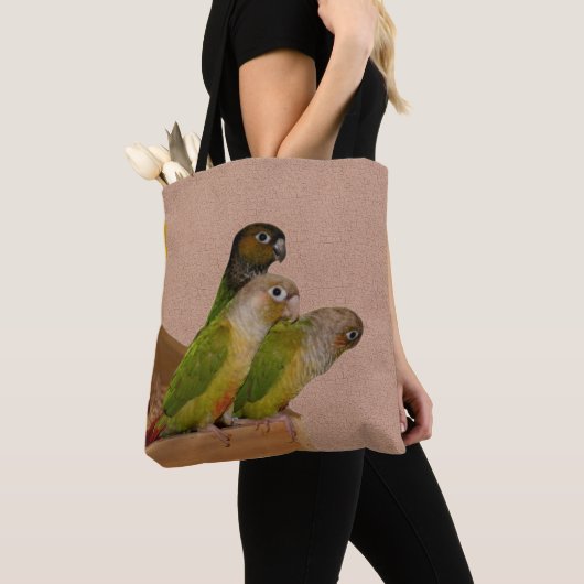 Baby Conure Parrots Bird Tasche (Von Nahem)