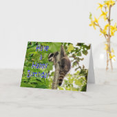 Baby Coon Bday wünscht Karte (Gelbe Blume)