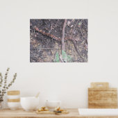 Baby Cottonmouth Moccasin Poster (Küche)