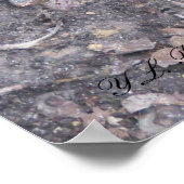 Baby Cottonmouth Moccasin Poster (Ecke)