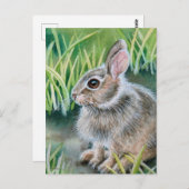 Baby Cottontail Kaninchen Wasserfarben Kunst Postkarte (Vorne/Hinten)