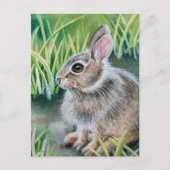 Baby Cottontail Kaninchen Wasserfarben Kunst Postkarte (Vorderseite)