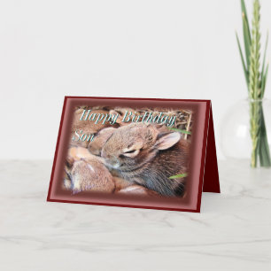 Baby Cottontails-any gebrauchty-customize Karte