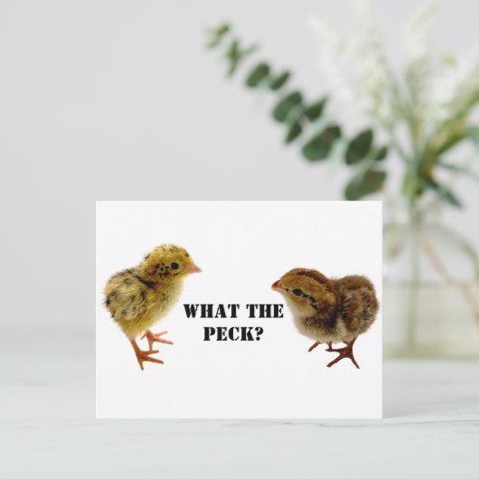 Baby Coturnix und bobwhite Quail Chicks Postkarte (Stehend Vorderseite)