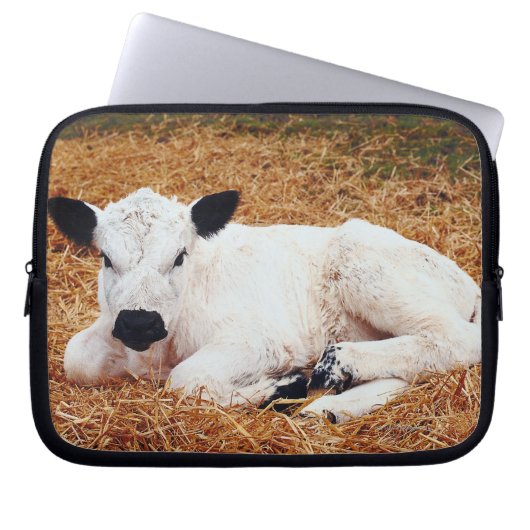 Baby Cow, Calf Laptopschutzhülle (Vorderseite)